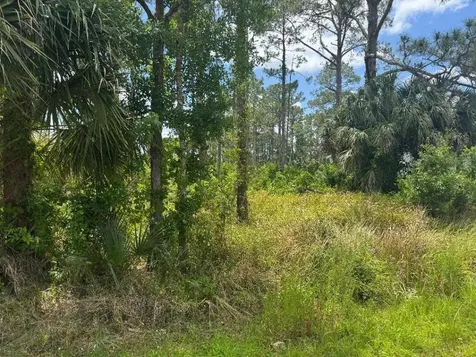 1458 Transcoro Street SE Palm Bay FL 32909