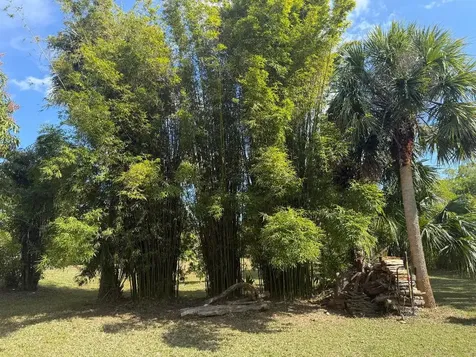 15119 98th Trail N Jupiter FL 33478