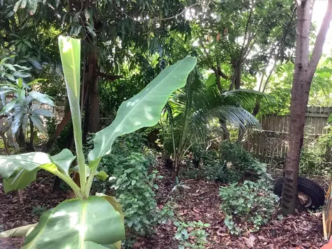 424 59th Street West Palm Beach FL 33407