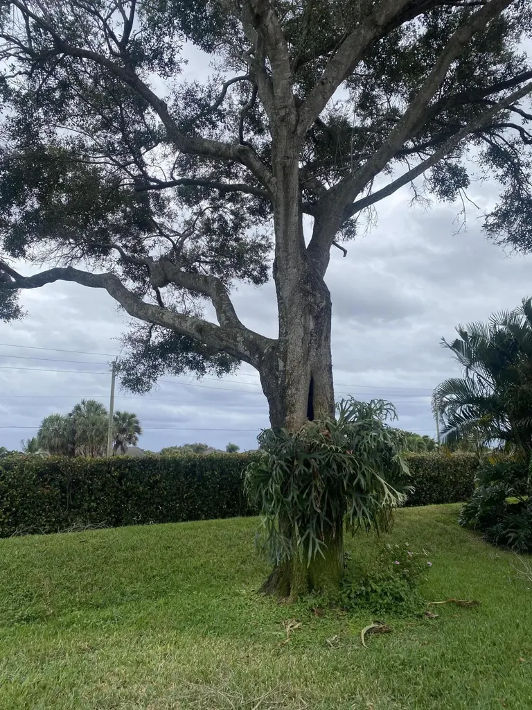 6115 Bay Isle Drive Boynton Beach FL 33437