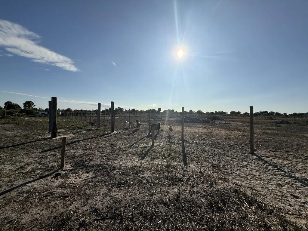 21377 NW 276th Street Okeechobee FL 34972