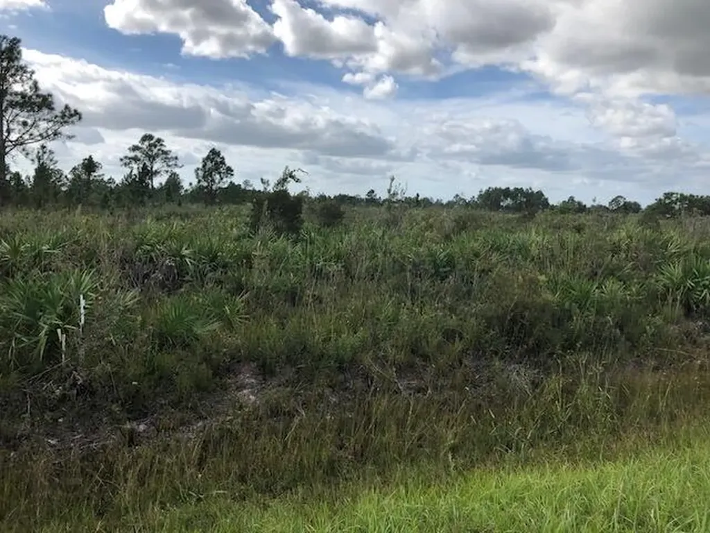 Tbd Undetermined Citra FL 32113