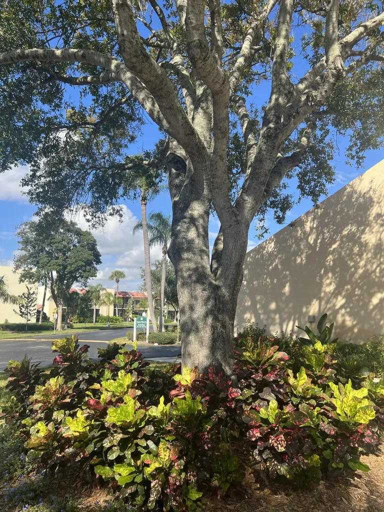 1605 S Us Highway 1 Jupiter FL 33477