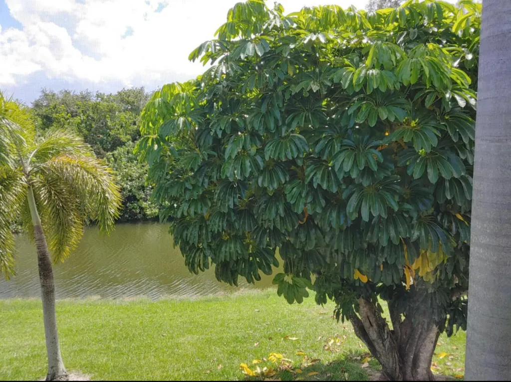 63 Windsor C West Palm Beach FL 33417