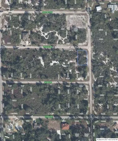 100 Tryon Avenue NW Lake Placid FL 33852