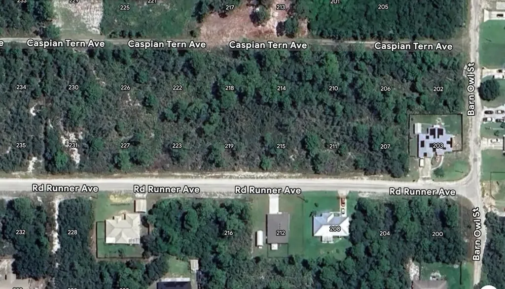 215 Roadrunner Avenue Sebring FL 33870