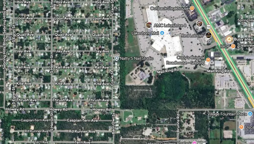 215 Roadrunner Avenue Sebring FL 33870