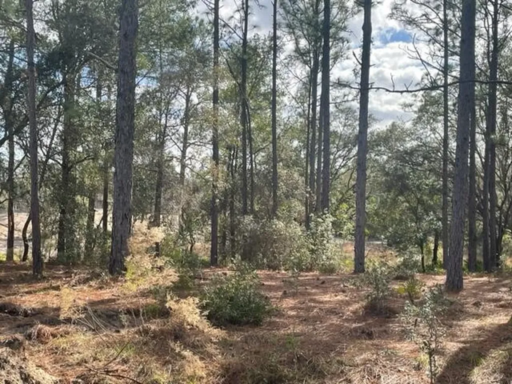 000 Malauka Circle Ocklawaha FL 32179