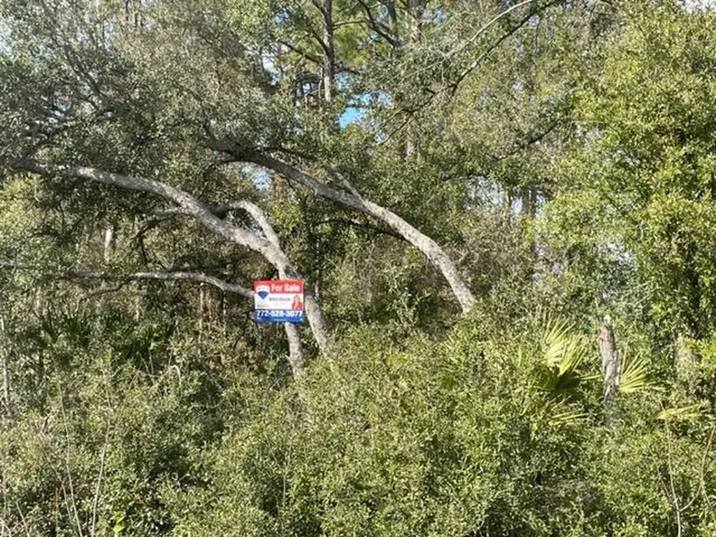 000 Malauka Circle Ocklawaha FL 32179