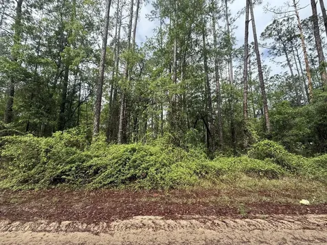 Tbd Seminole Avenue Interlachen FL 32148