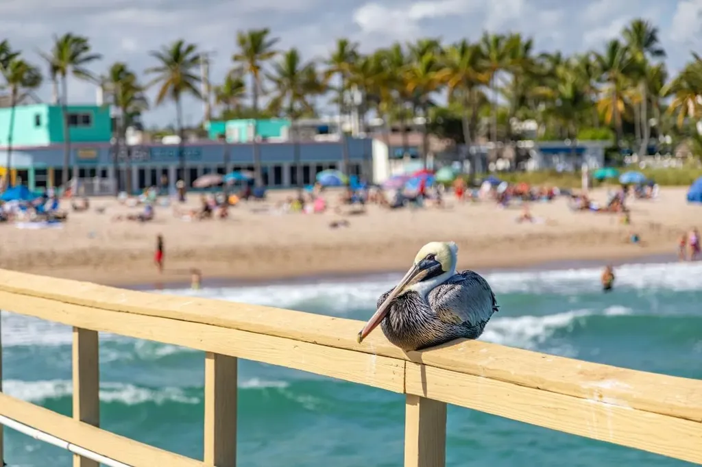 405 N Ocean Boulevard Pompano Beach FL 33062