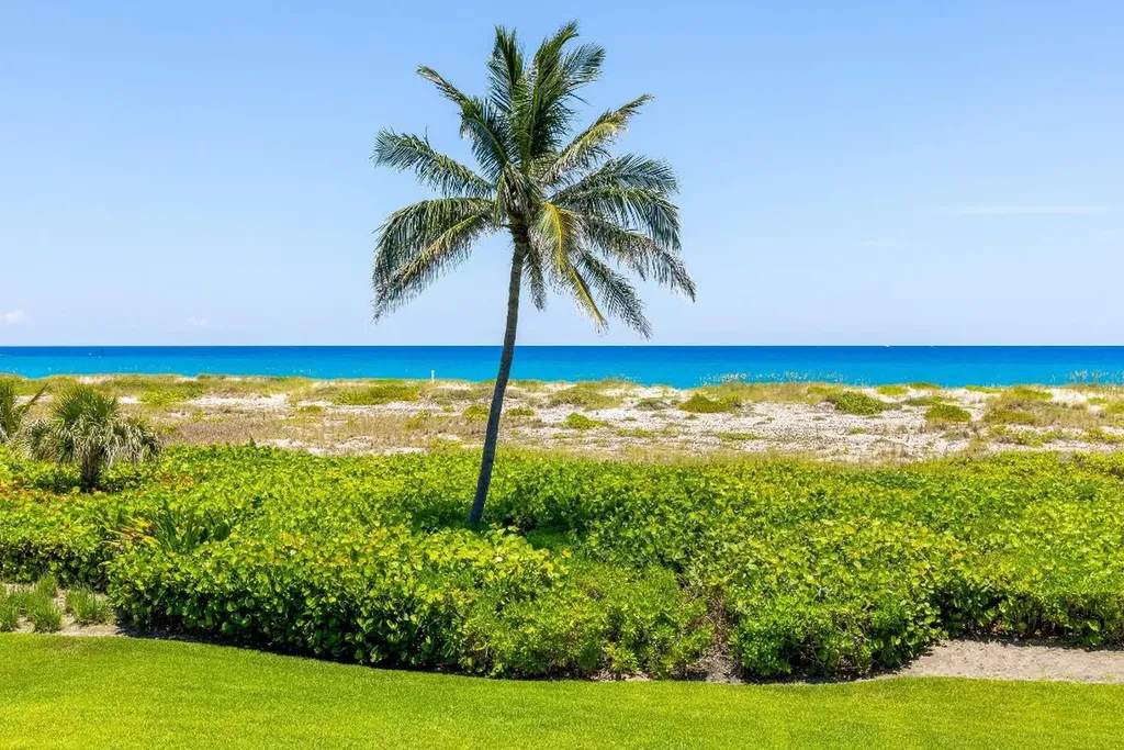 1446 N Ocean Boulevard Palm Beach FL 33480