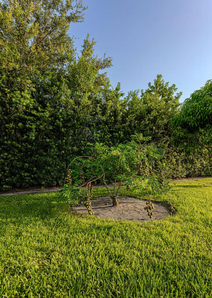 875 NW 120th Avenue Plantation FL 33325