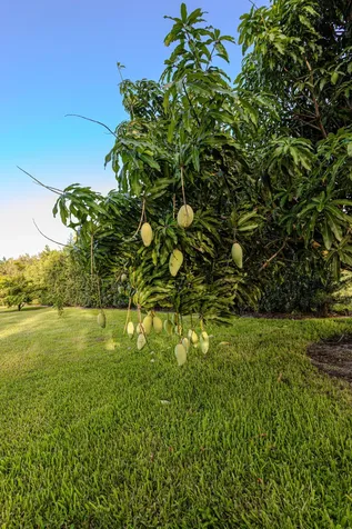 875 NW 120th Avenue Plantation FL 33325