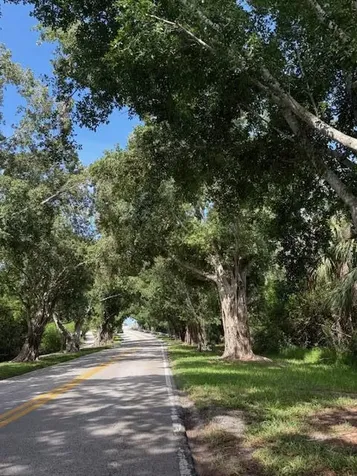 10691 SE Jupiter Narrows Drive Hobe Sound FL 33455
