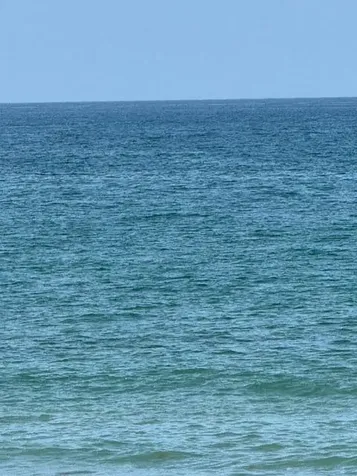 10691 SE Jupiter Narrows Drive Hobe Sound FL 33455