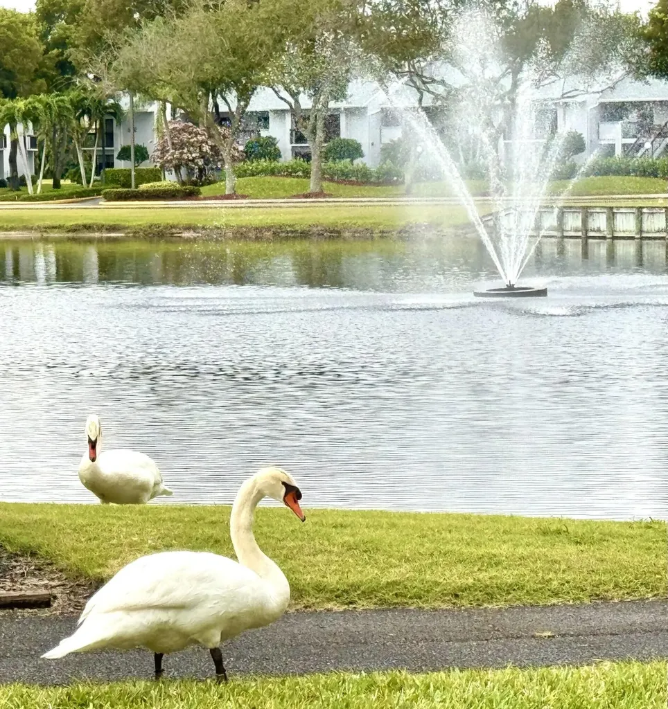 16843 Boca Delray Drive Delray Beach FL 33484