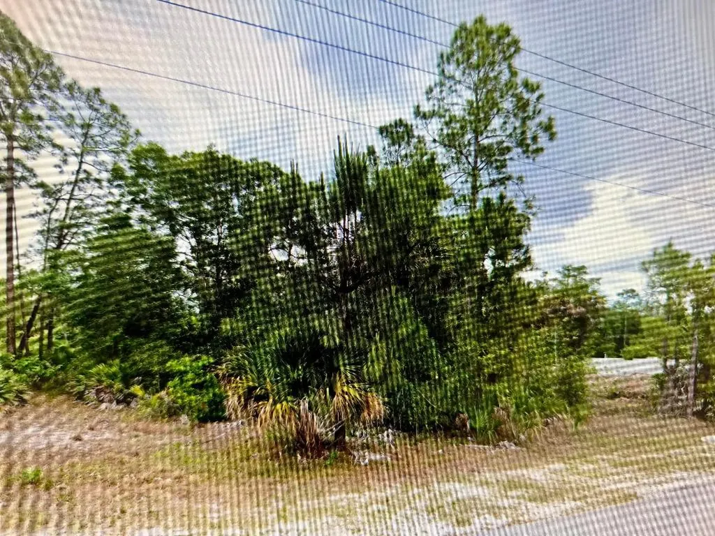 403 17th Street E Lehigh Acres FL 33972