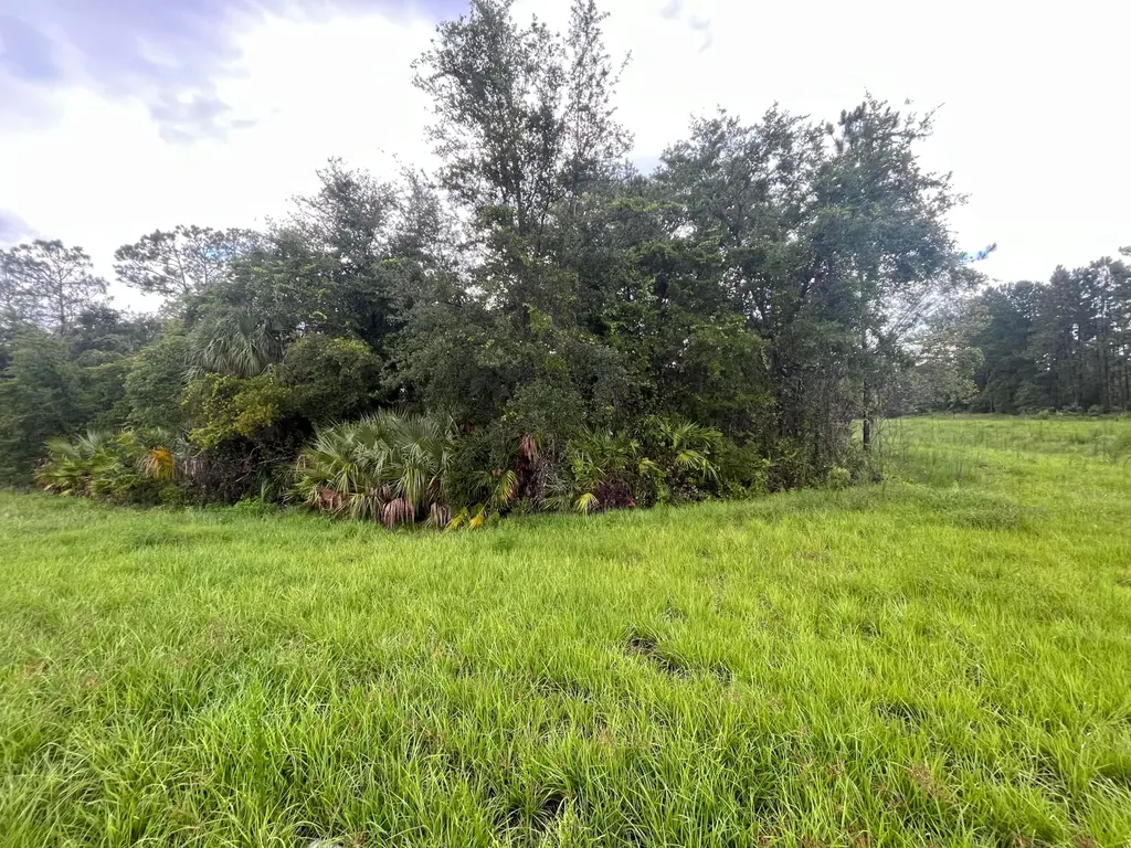 6883 St Johns Avenue Palatka FL 32177