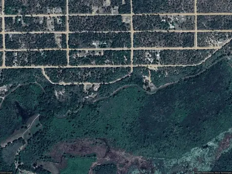 113 Hickory Circle Interlachen FL 32148
