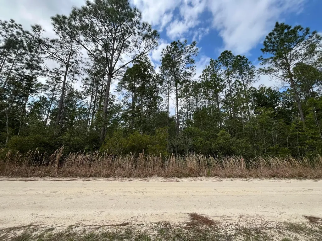 215 Royal Avenue Interlachen FL 32148