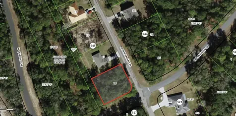 9524 N Sherman Drive Citrus Springs FL 34434