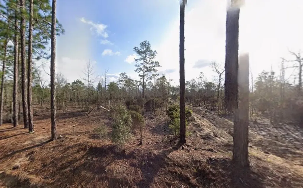 116 Tulip Avenue Interlachen FL 32148
