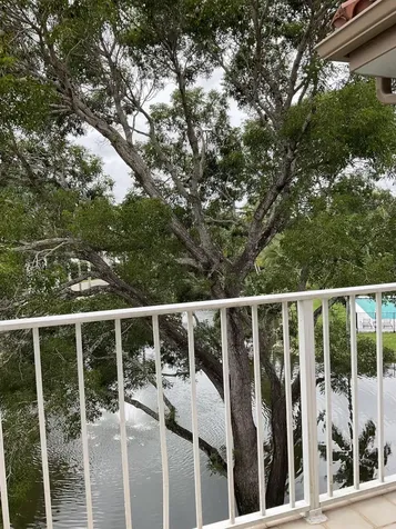 7370 Orangewood Lane Boca Raton FL 33433