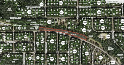 0 E Anton Drive Citrus Springs FL 34434