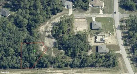 2770 W Tracy Court Citrus Springs FL 34433