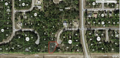 2770 W Tracy Court Citrus Springs FL 34433