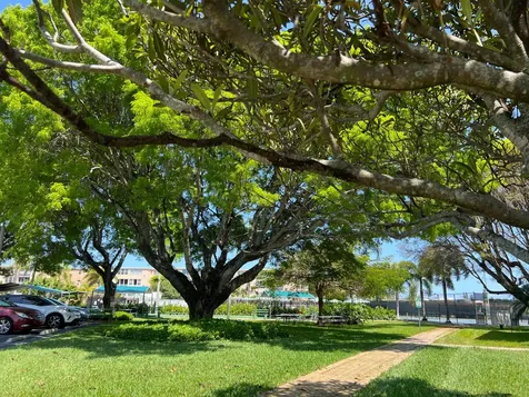230 NE 26th Avenue Boynton Beach FL 33435