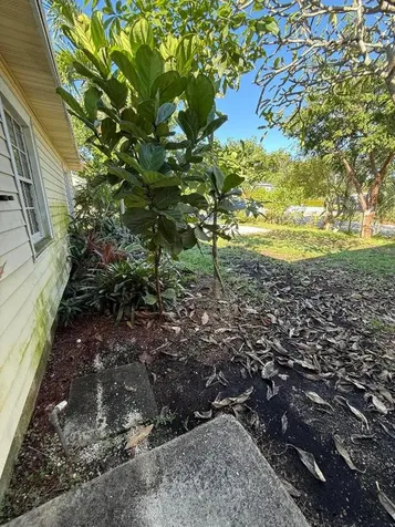 716 S Pine Street Lake Worth Beach FL 33460