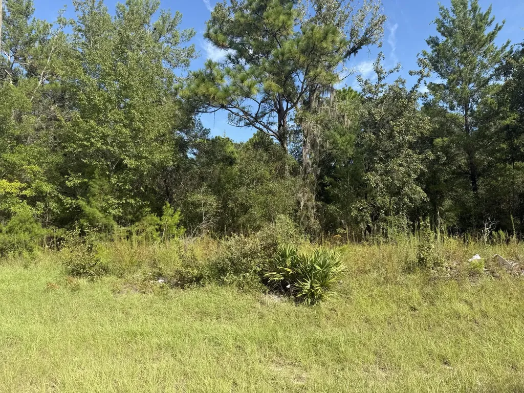 Tbd 79th Terrace Road Dunnellon FL 34432