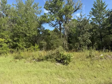Tbd 79TH Terrace Road Dunnellon FL 34432