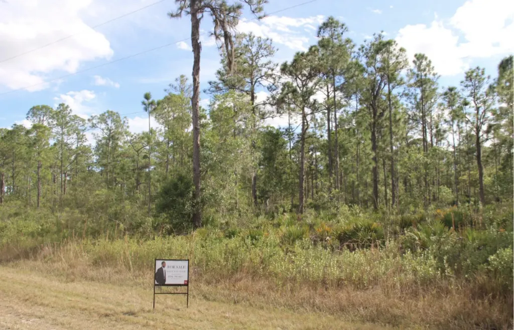 0 Calliandra Drive Indian Lake Estates FL