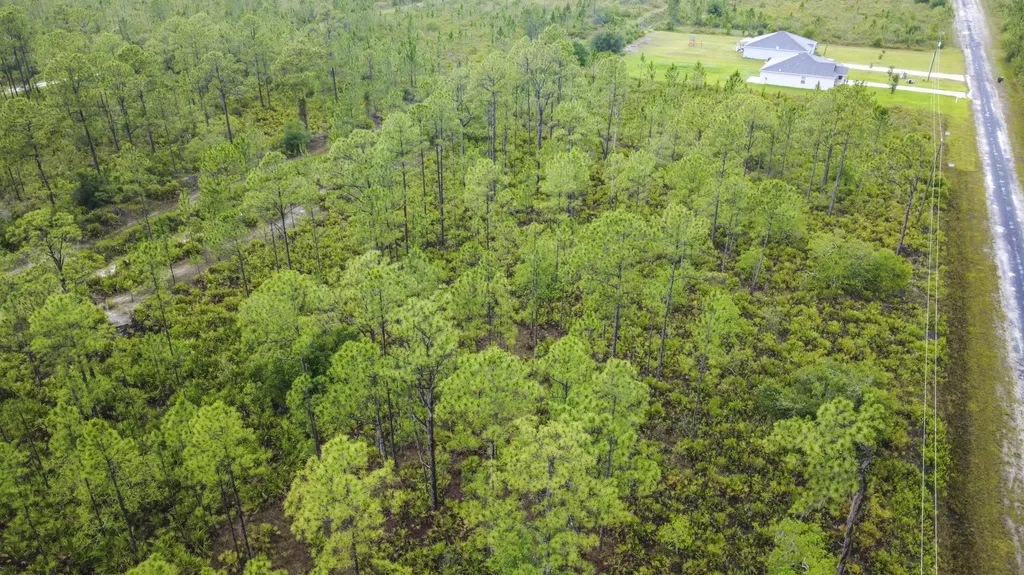 0 Calliandra Drive Indian Lake Estates FL