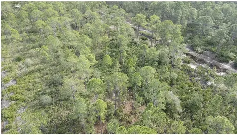 0 Calliandra Drive Indian Lake Estates FL