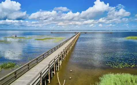 0 Calliandra Drive Indian Lake Estates FL