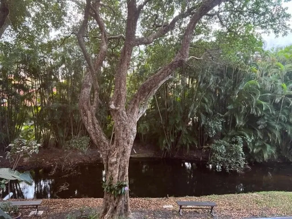 1605 S Us Highway 1 Jupiter FL 33477