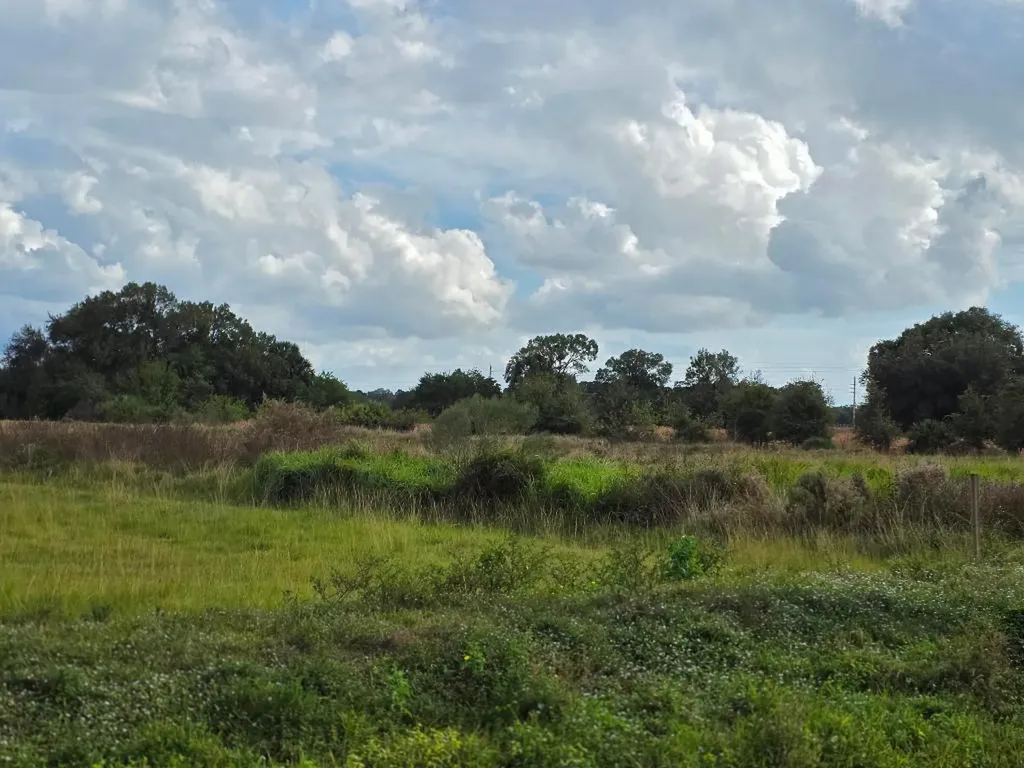 1132 NE 48th Avenue Okeechobee FL 34972