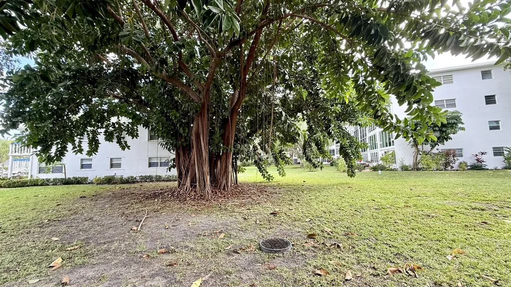 253 Newport P Deerfield Beach FL 33442