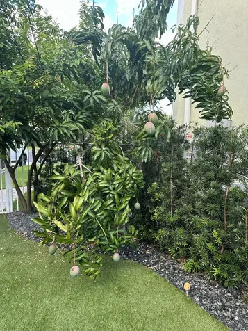 4883 N Classical Boulevard Delray Beach FL 33445