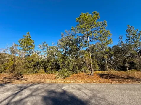 Tbd Lot 35 SW Lobelia Court Dunnellon FL 34431