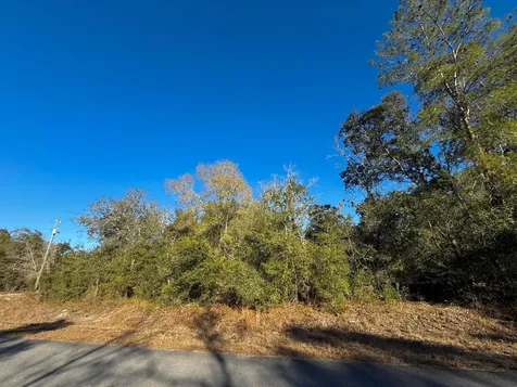 Tbd Lot 35 SW Lobelia Court Dunnellon FL 34431