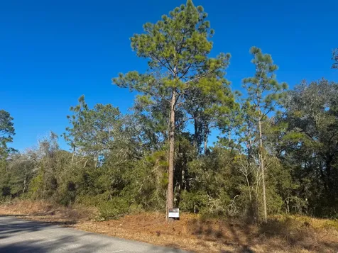 Tbd Lot 35 SW Lobelia Court Dunnellon FL 34431