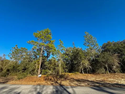 Tbd Lot 35 SW Lobelia Court Dunnellon FL 34431