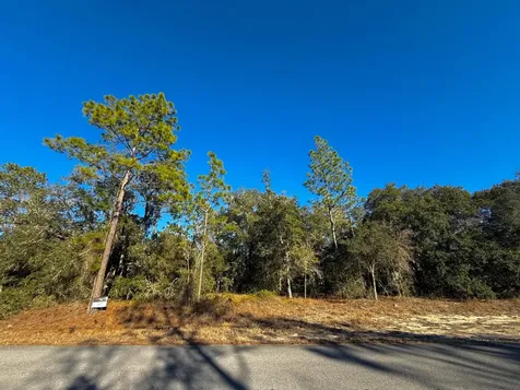 Tbd Lot 35 SW Lobelia Court Dunnellon FL 34431