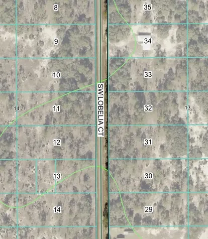 Tbd Lot 32 SW Lobelia Court Dunnellon FL 34431