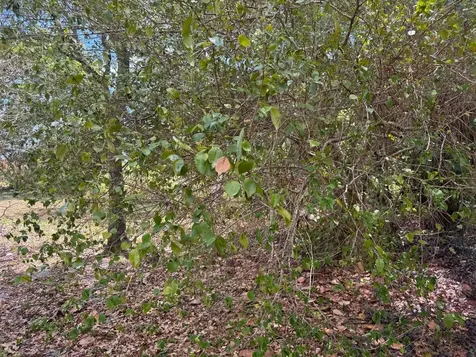 3358 S Jog Road Greenacres FL 33467